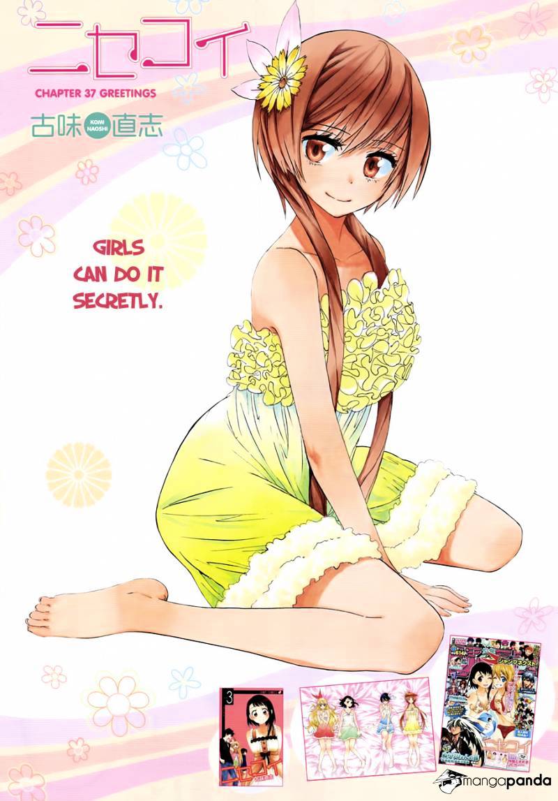 Read Nisekoi EN Manga Online