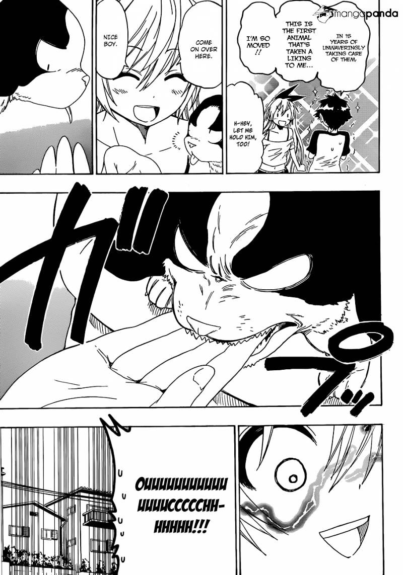 Read Nisekoi EN Manga Online