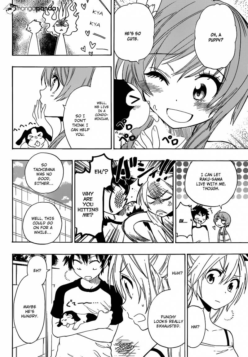 Read Nisekoi EN Manga Online