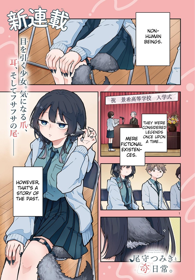 Read Ogami Tsumiki to Kinichijou EN Manga Online