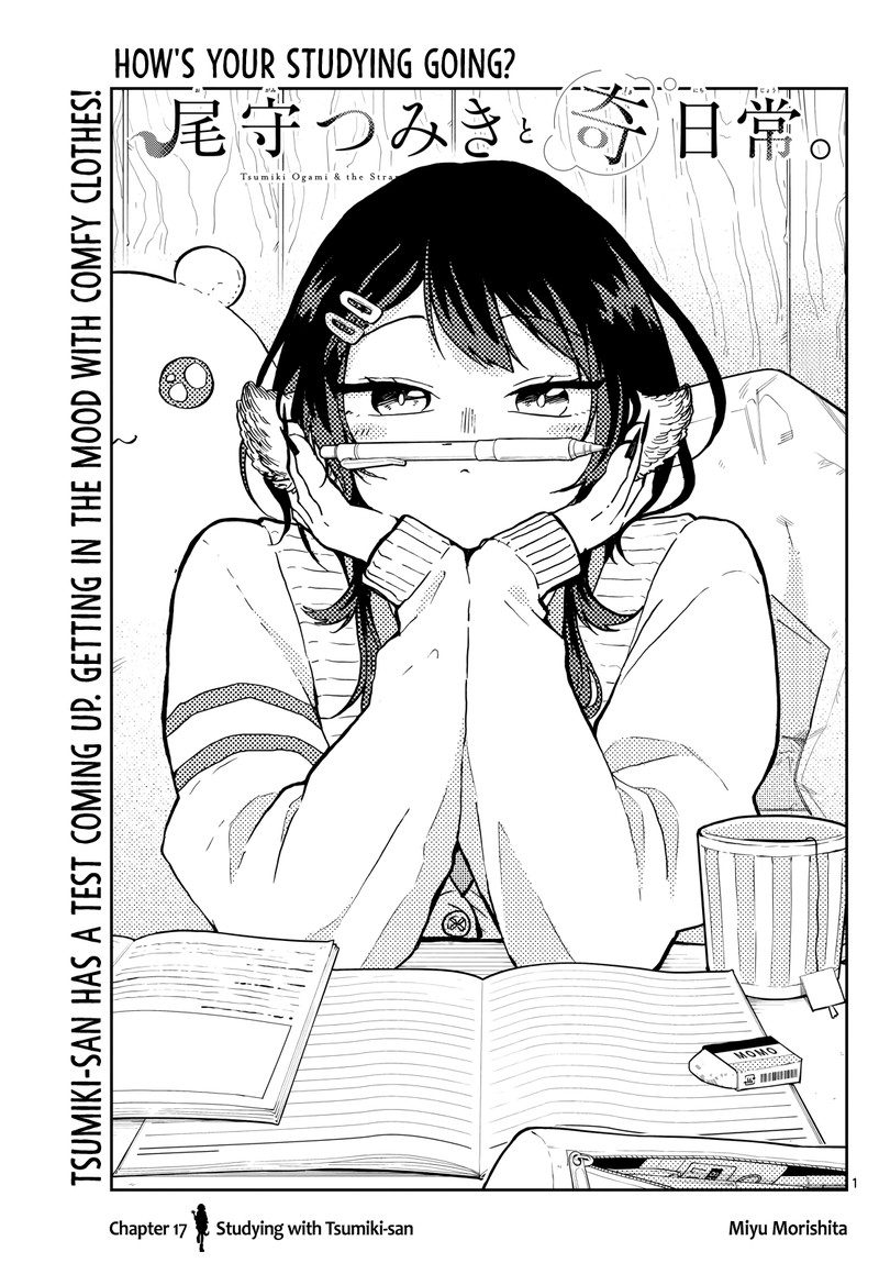 Read Ogami Tsumiki to Kinichijou EN Manga Online