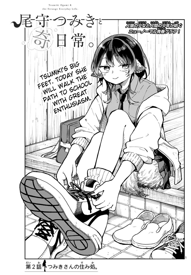 Read Ogami Tsumiki to Kinichijou EN Manga Online