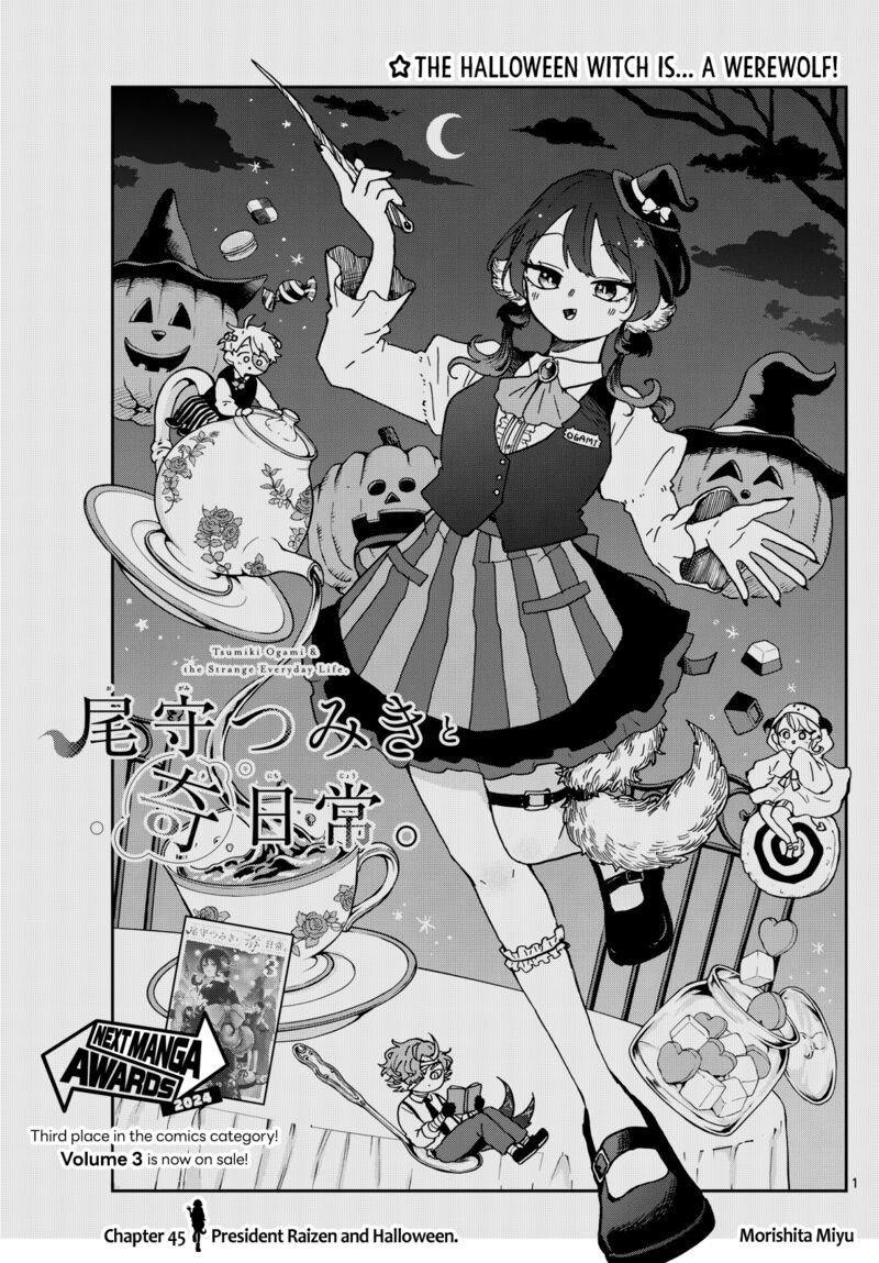 Read Ogami Tsumiki to Kinichijou EN Manga Online