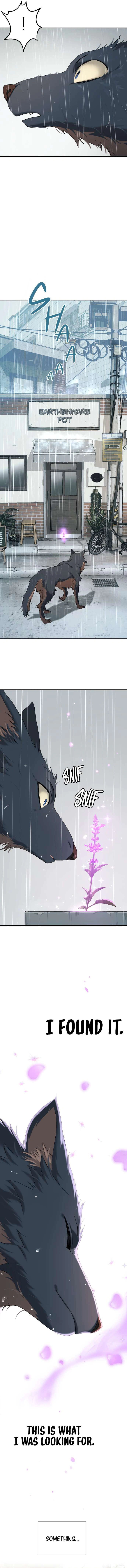 Read Oh! Dangun EN Manga Online