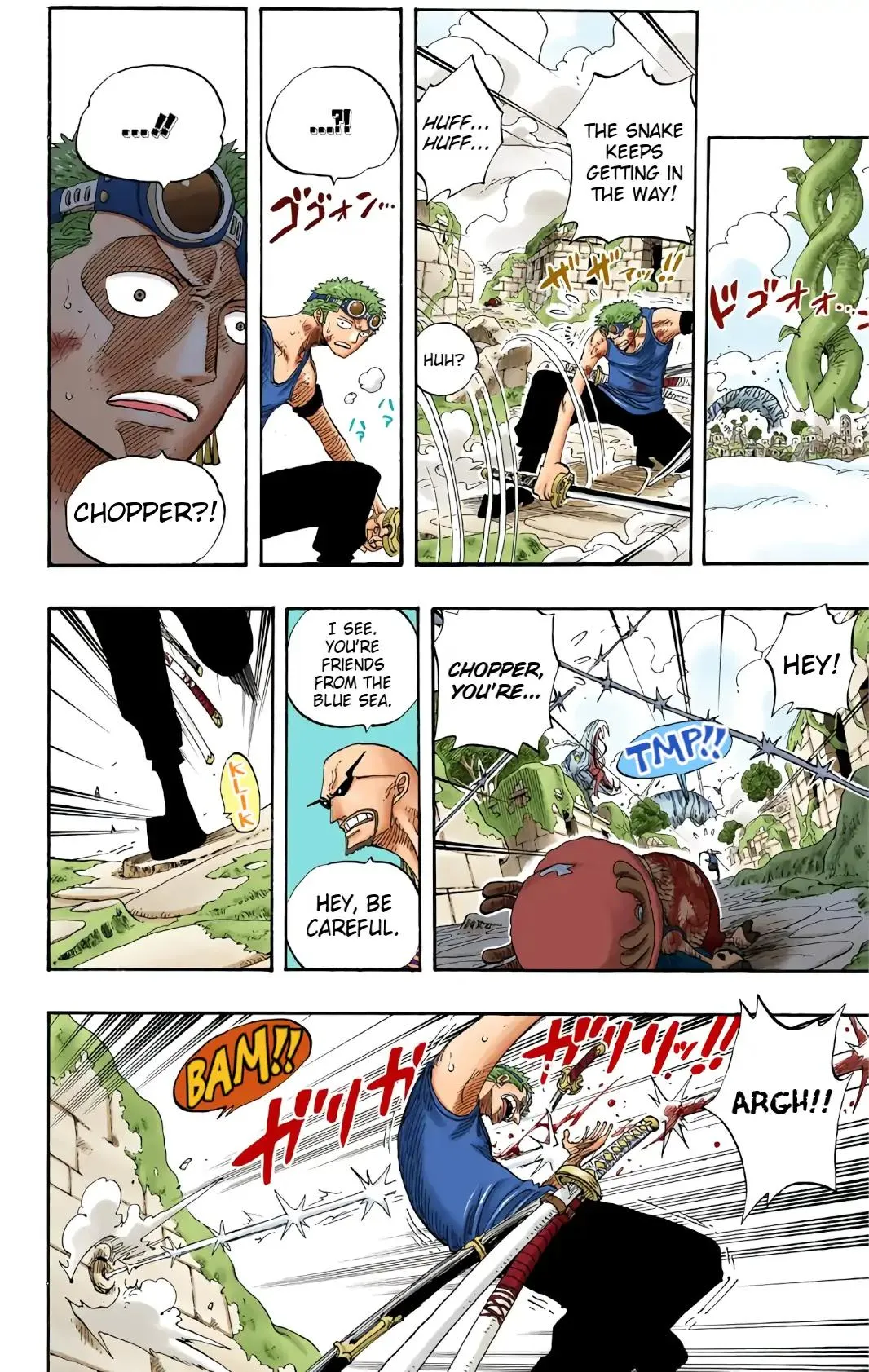 Read One Piece (Color) EN Manga Online