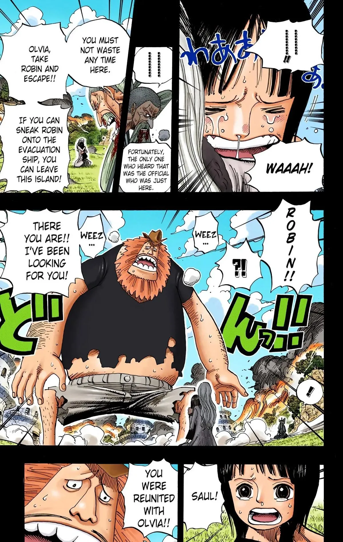 Read One Piece (Color) EN Manga Online