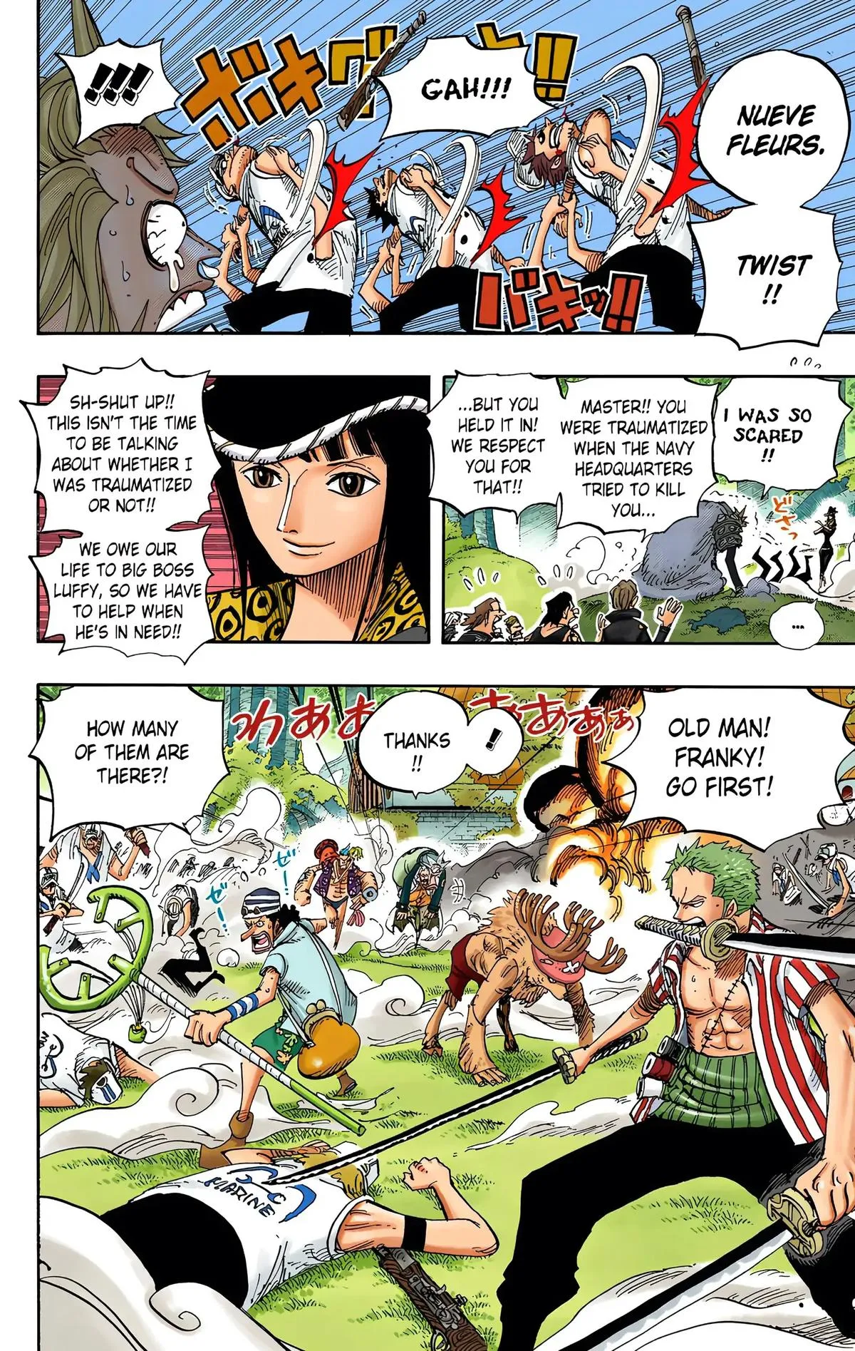 Read One Piece (Color) EN Manga Online