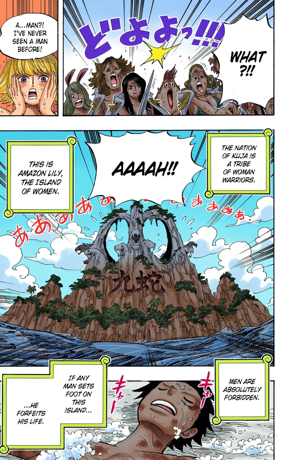 Read One Piece (Color) EN Manga Online