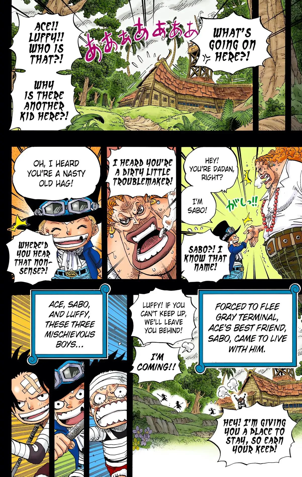 Read One Piece (Color) EN Manga Online