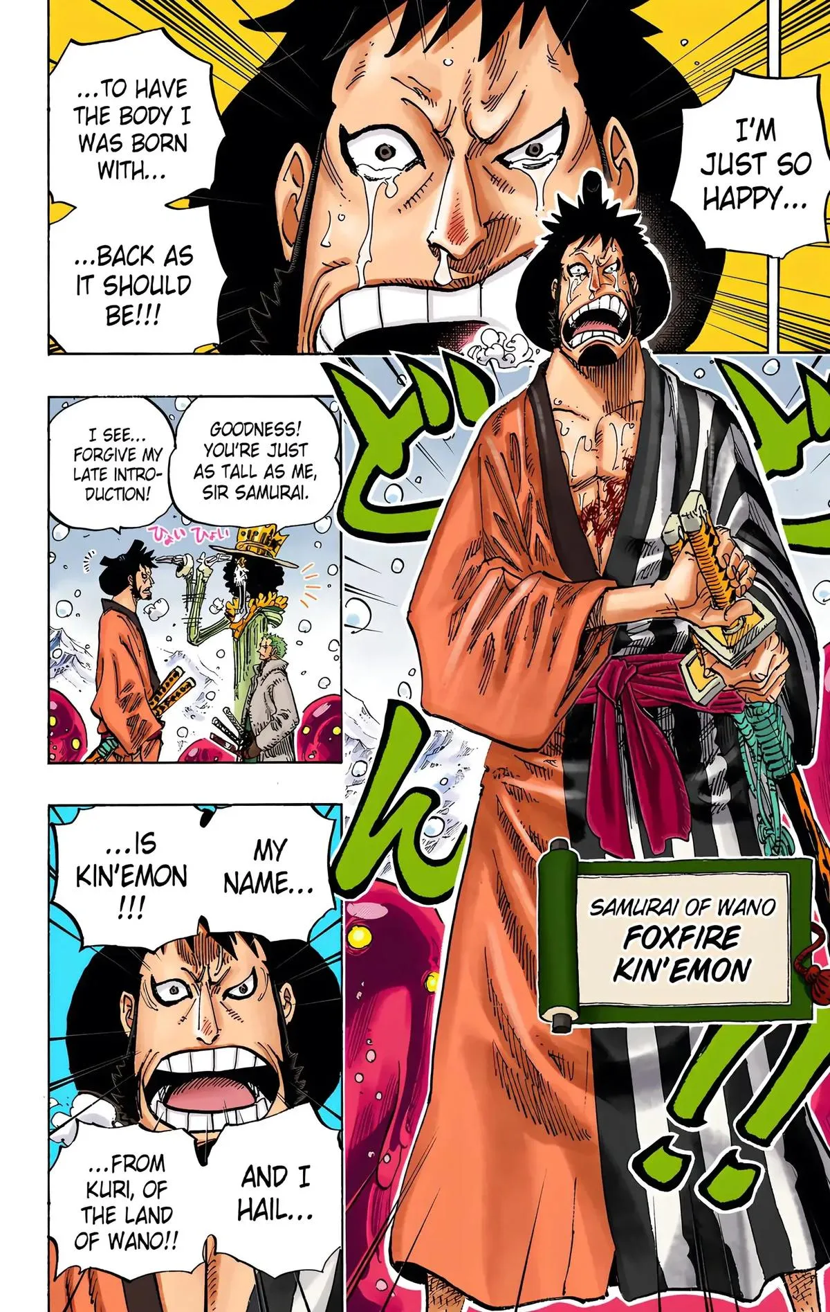 Read One Piece (Color) EN Manga Online
