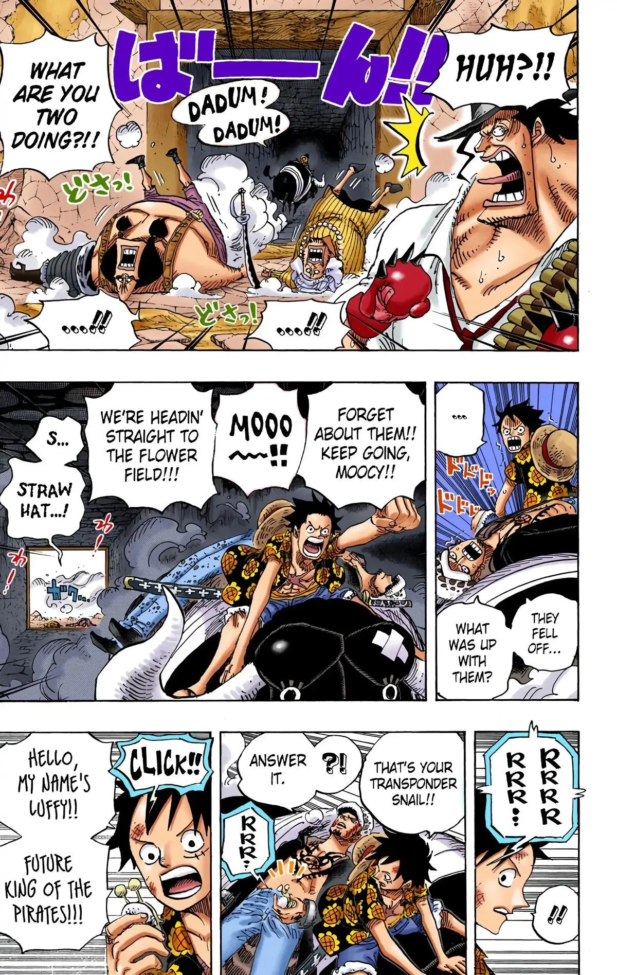 Read One Piece (Color) EN Manga Online