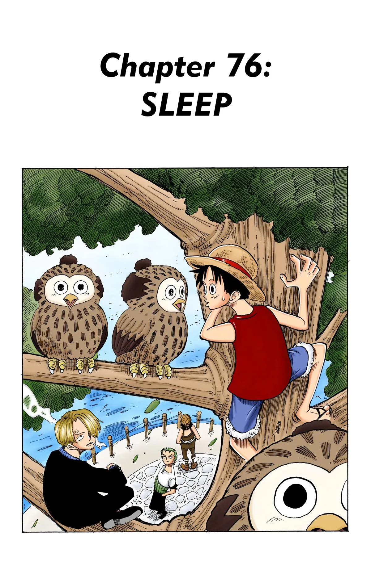 Read One Piece (Color) EN Manga Online