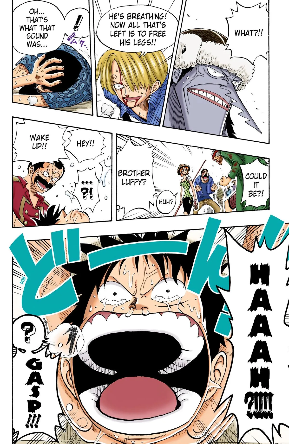 Read One Piece (Color) EN Manga Online