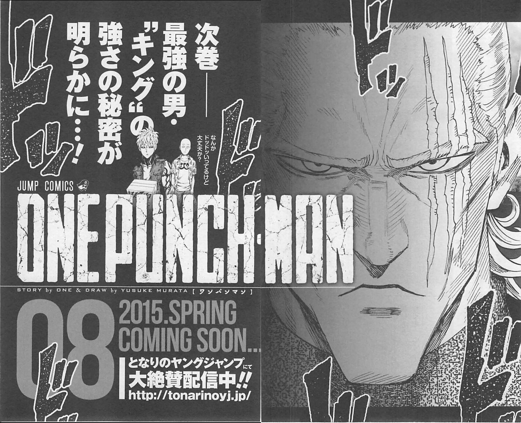 Read Onepunch-Man EN Manga Online
