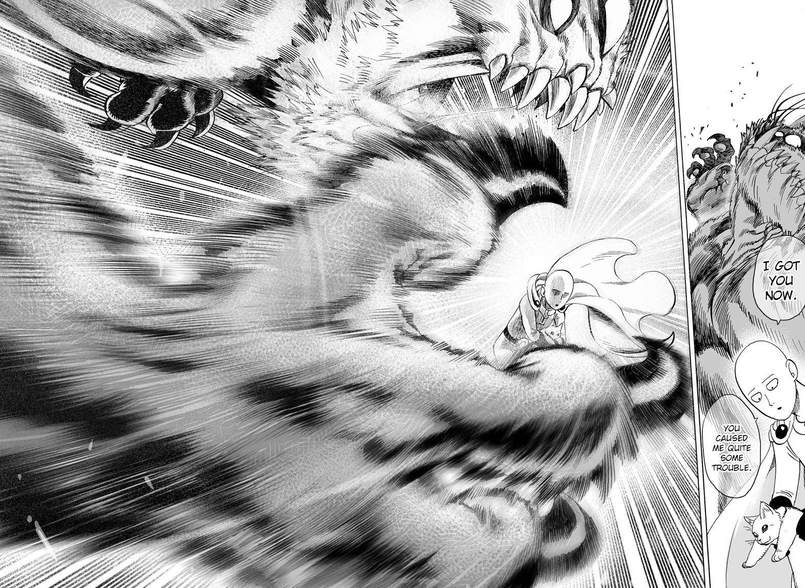 Read Onepunch-Man EN Manga Online