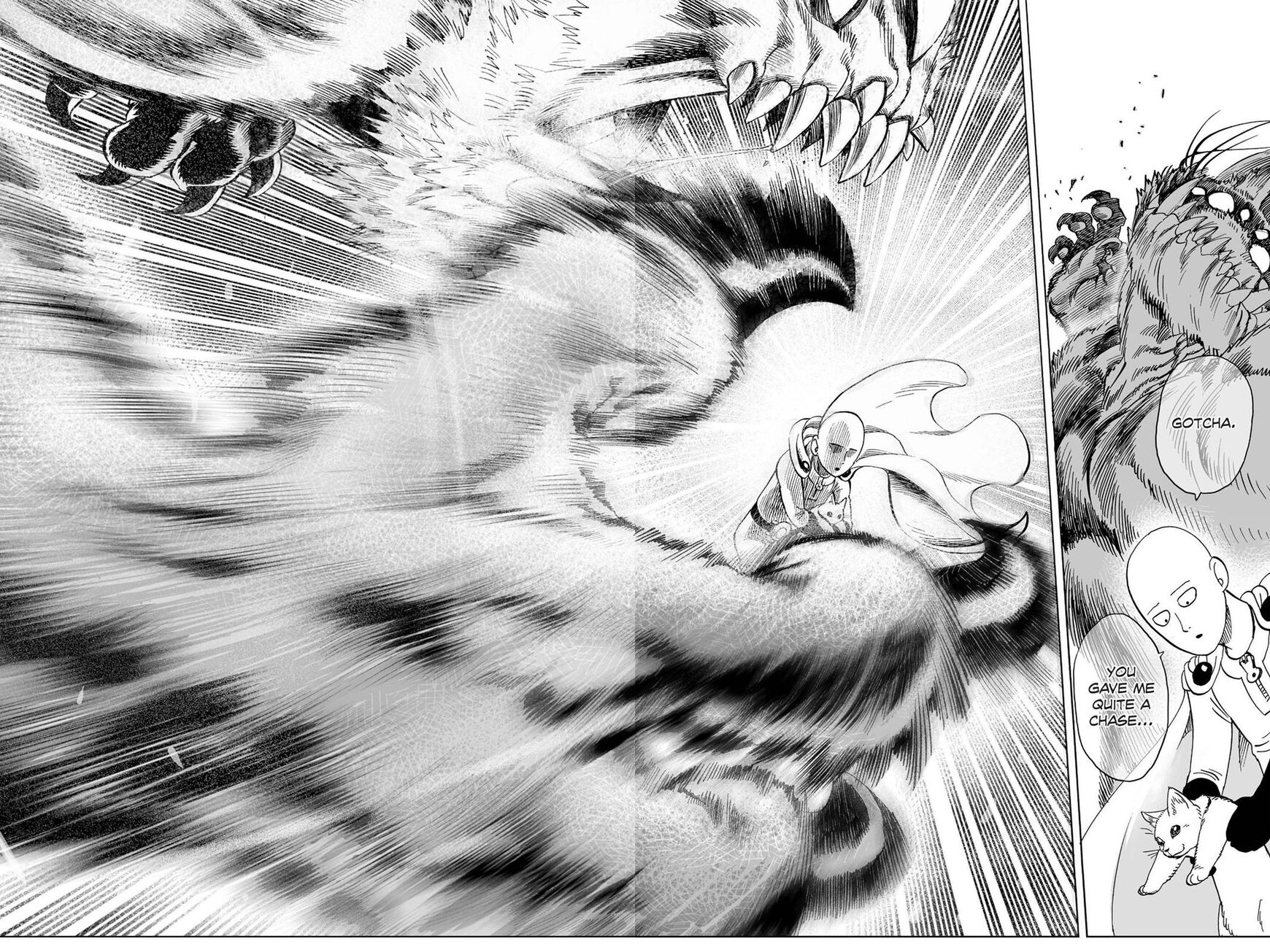 Read Onepunch-Man EN Manga Online