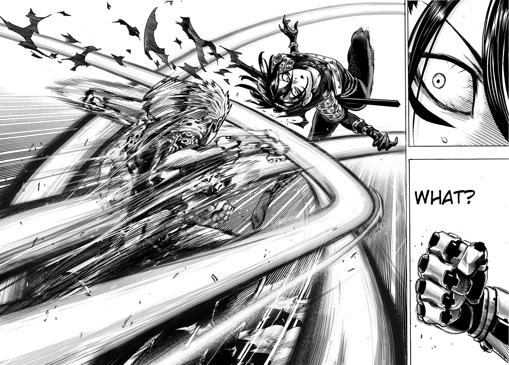 Read Onepunch-Man EN Manga Online