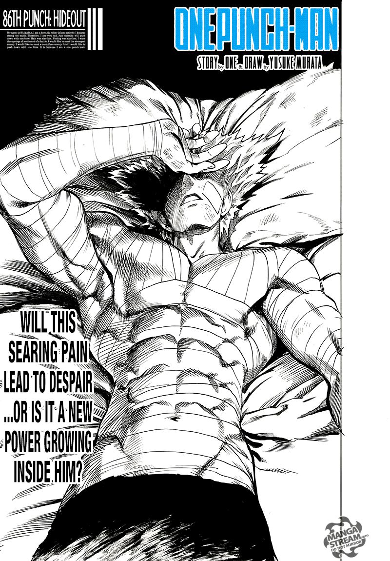 Read Onepunch-Man EN Manga Online