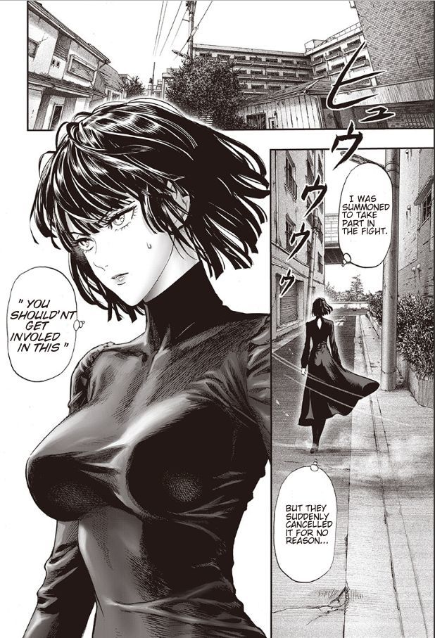 Read Onepunch-Man EN Manga Online