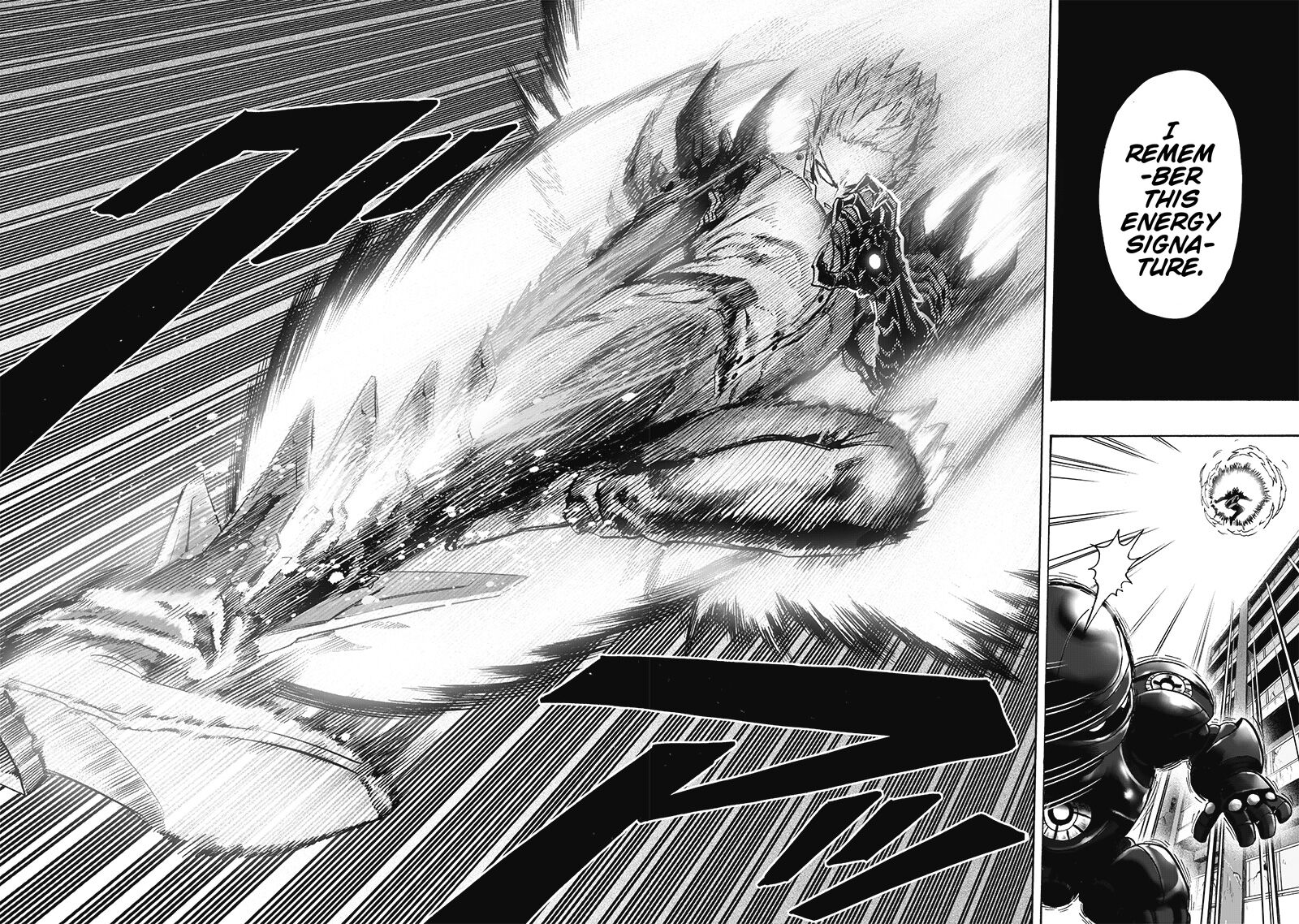 Read Onepunch-Man EN Manga Online