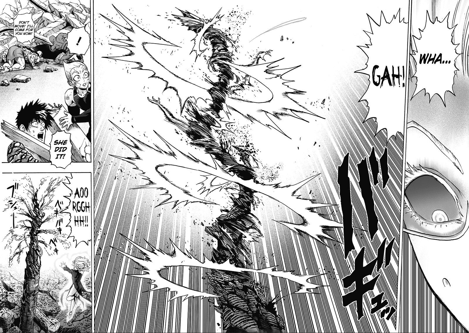 Read Onepunch-Man EN Manga Online