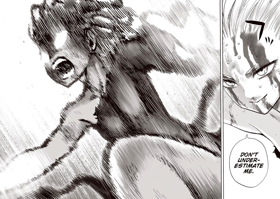 Read Onepunch-Man EN Manga Online