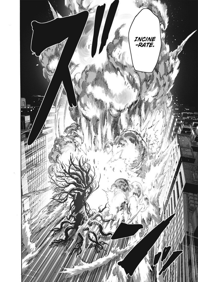 Read Onepunch-Man EN Manga Online