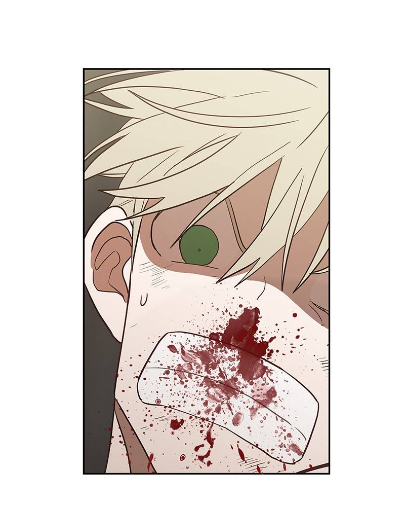 Read Pandora Hearts EN Manga Online