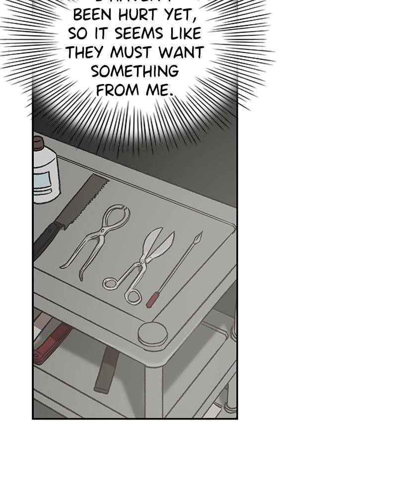 Read Pandora Hearts EN Manga Online