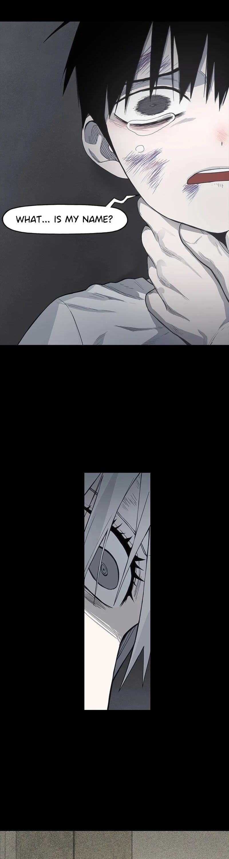 Read Pandora Hearts EN Manga Online