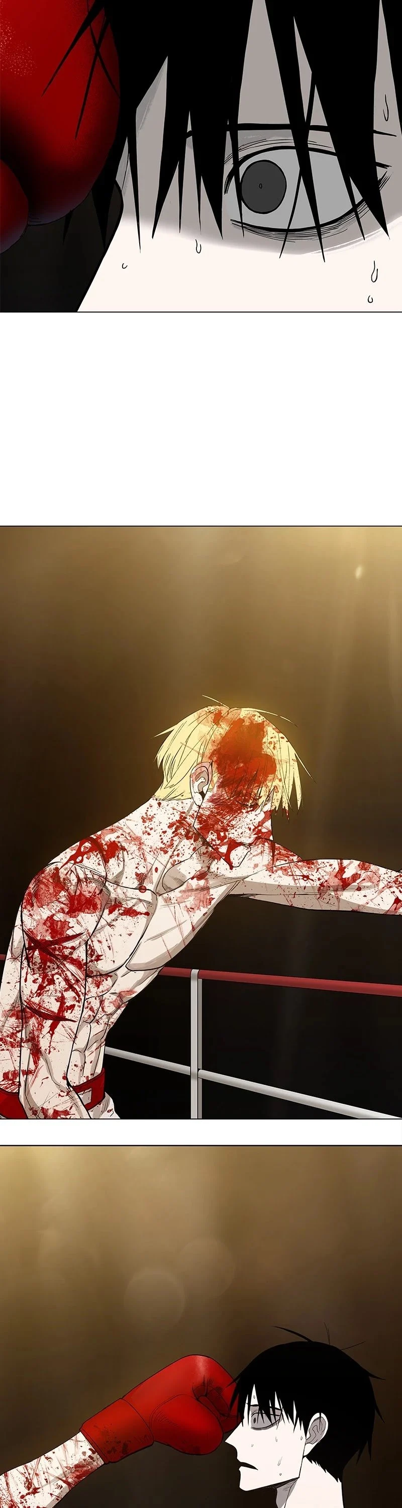 Read Pandora Hearts EN Manga Online