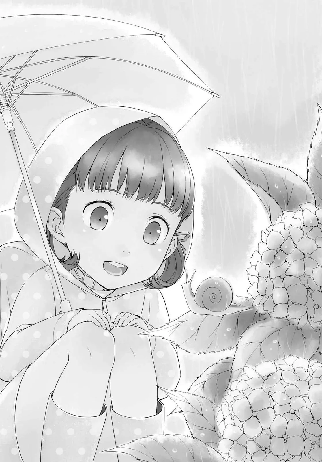 Read Persona 4 EN Manga Online