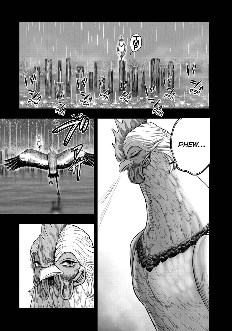 Read Rooster Fighter EN Manga Online