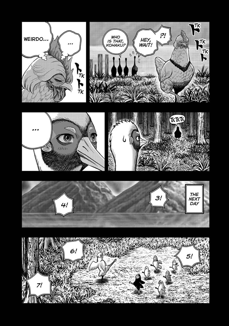 Read Rooster Fighter EN Manga Online