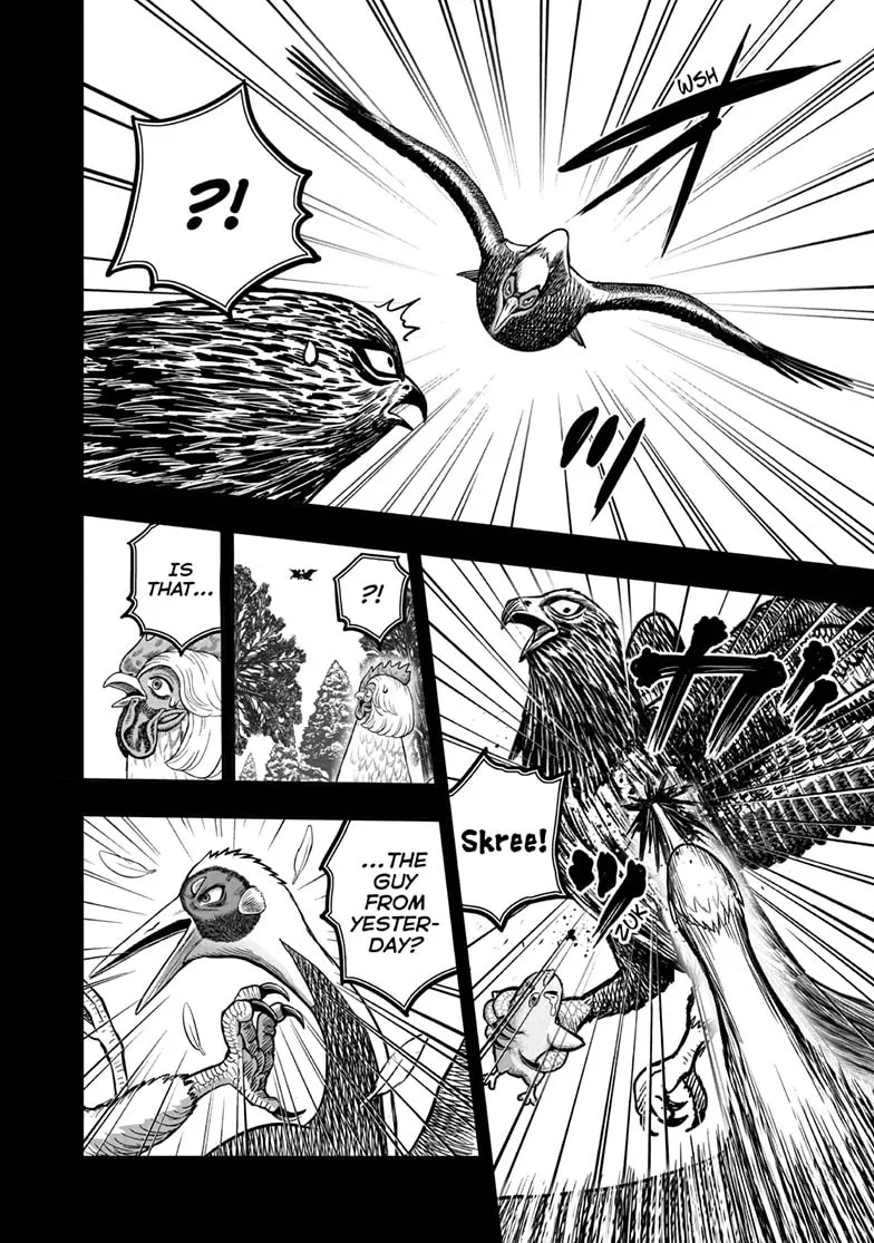 Read Rooster Fighter EN Manga Online