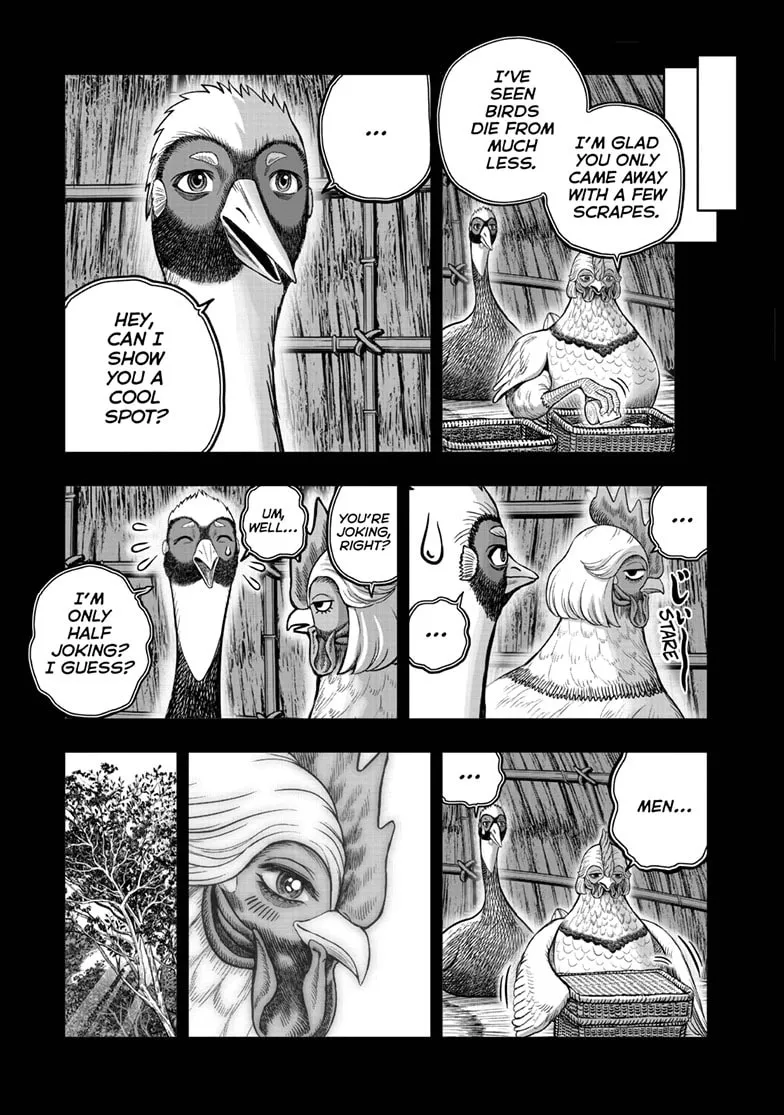 Read Rooster Fighter EN Manga Online