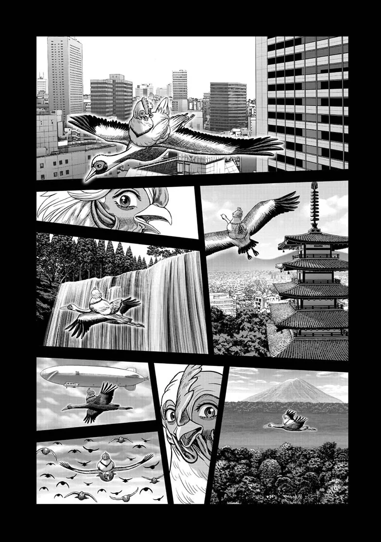 Read Rooster Fighter EN Manga Online