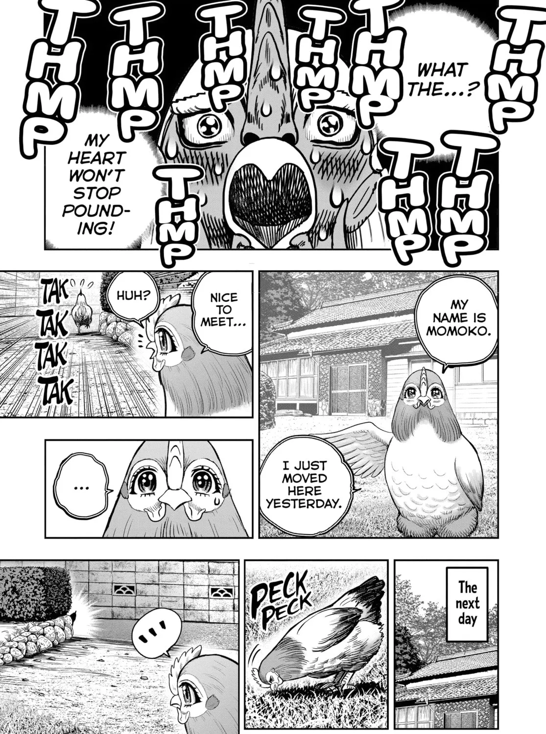 Read Rooster Fighter EN Manga Online