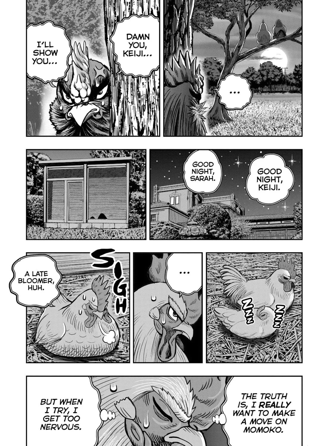 Read Rooster Fighter EN Manga Online