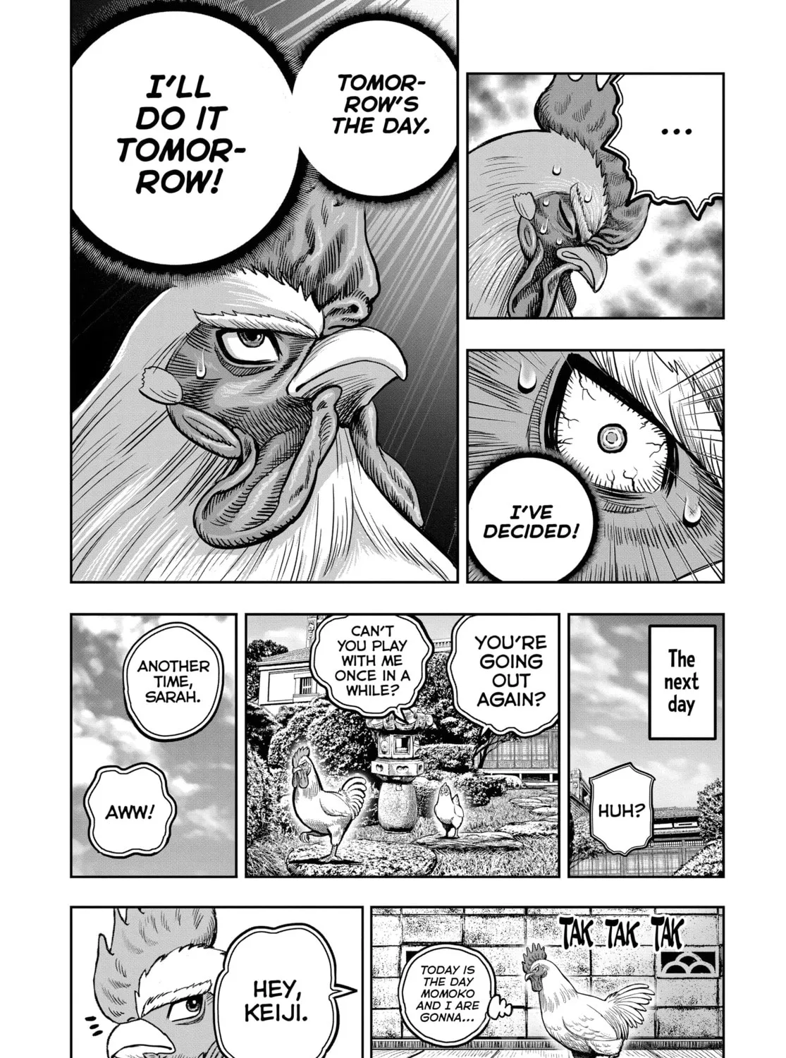 Read Rooster Fighter EN Manga Online