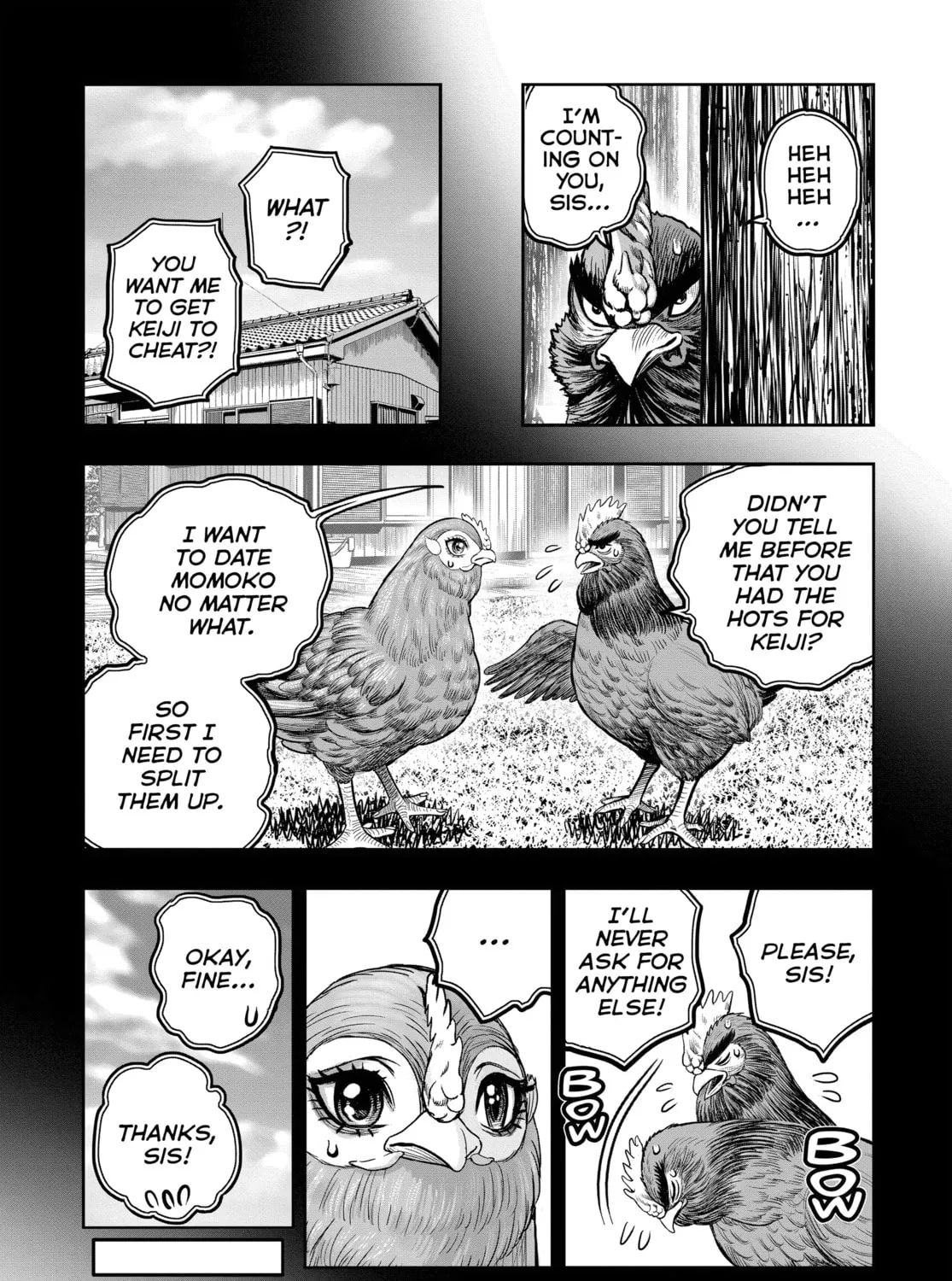 Read Rooster Fighter EN Manga Online