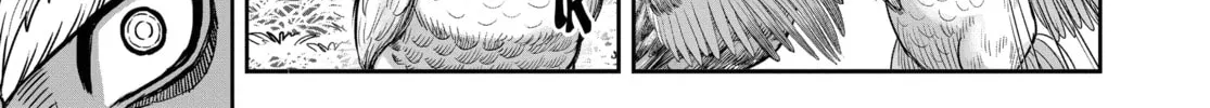 Read Rooster Fighter EN Manga Online