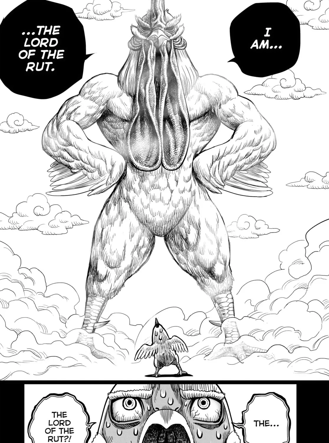 Read Rooster Fighter EN Manga Online