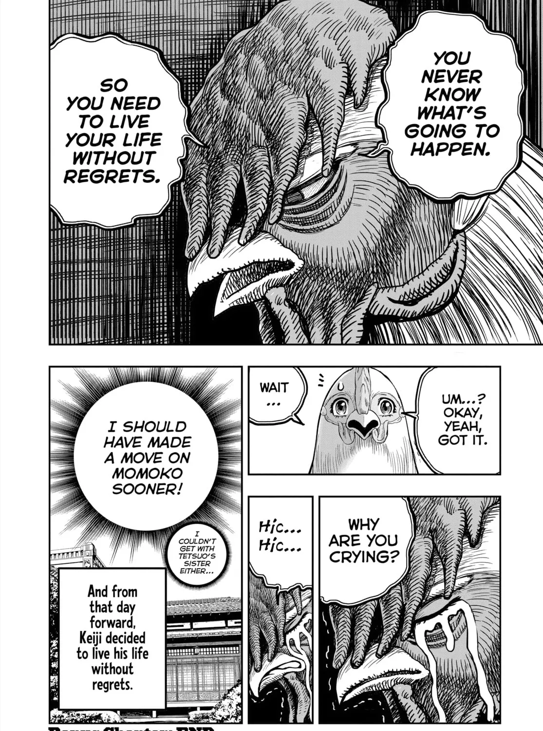 Read Rooster Fighter EN Manga Online
