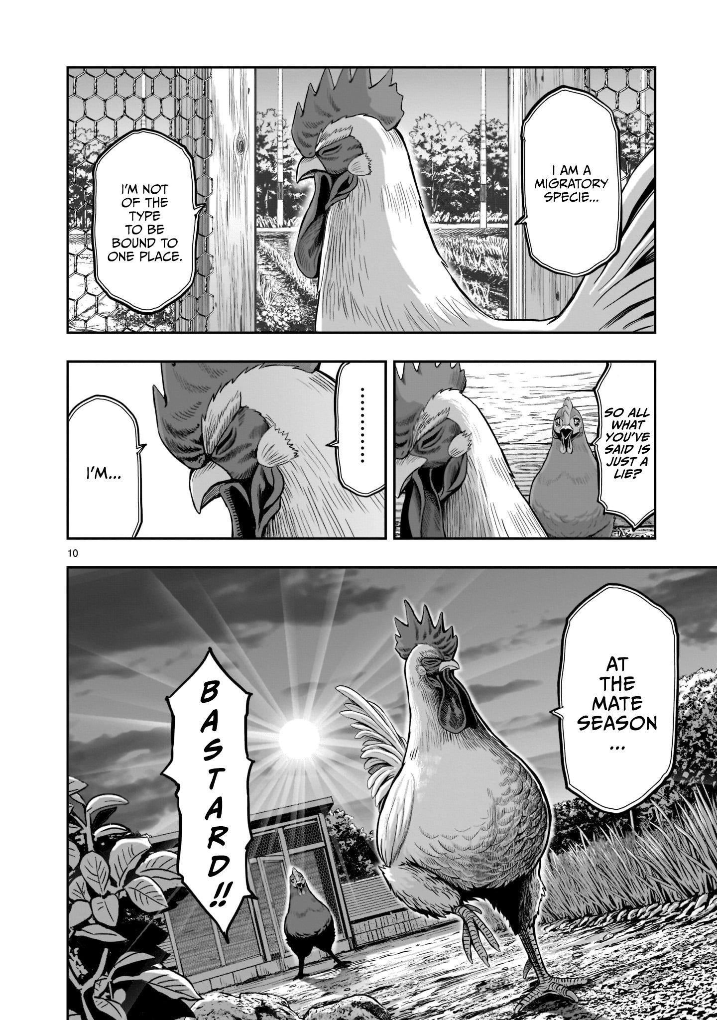 Read Rooster Fighter EN Manga Online