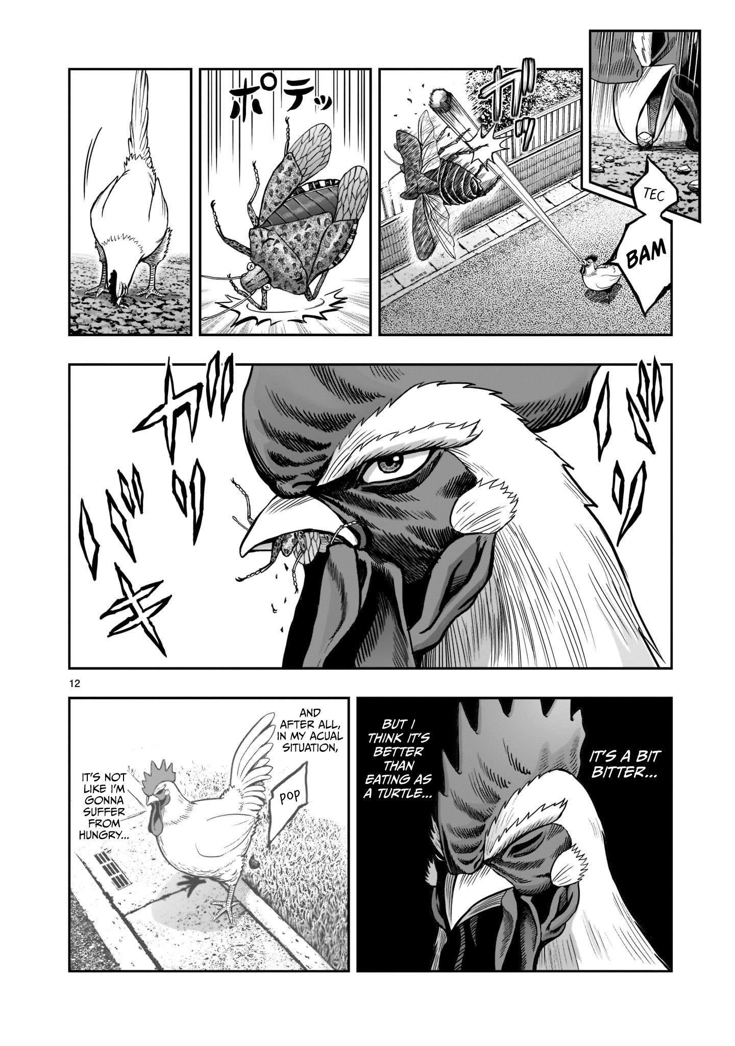 Read Rooster Fighter EN Manga Online