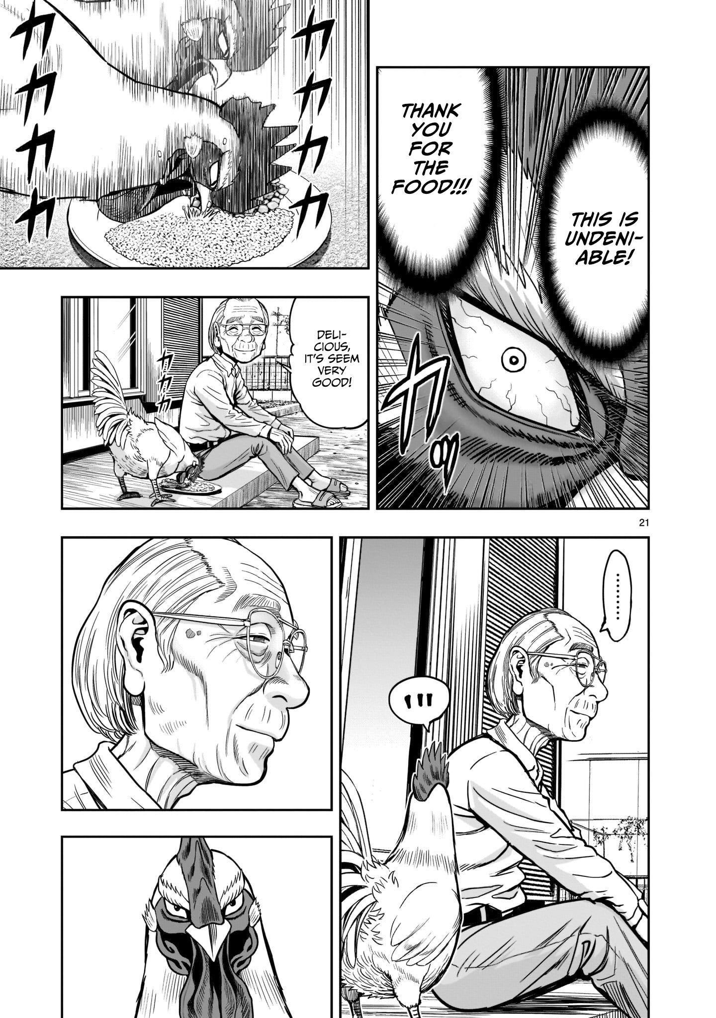 Read Rooster Fighter EN Manga Online