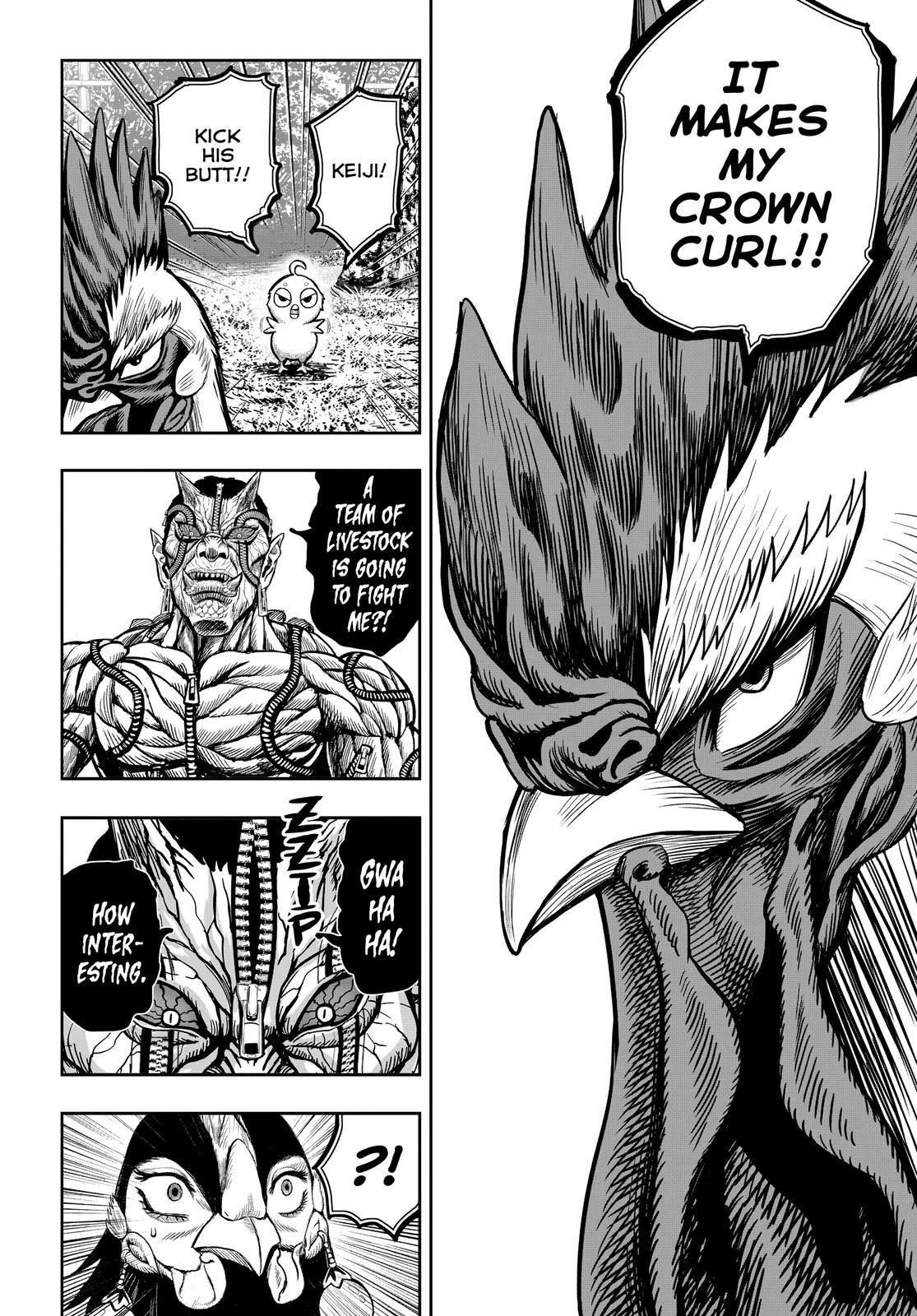 Read Rooster Fighter EN Manga Online