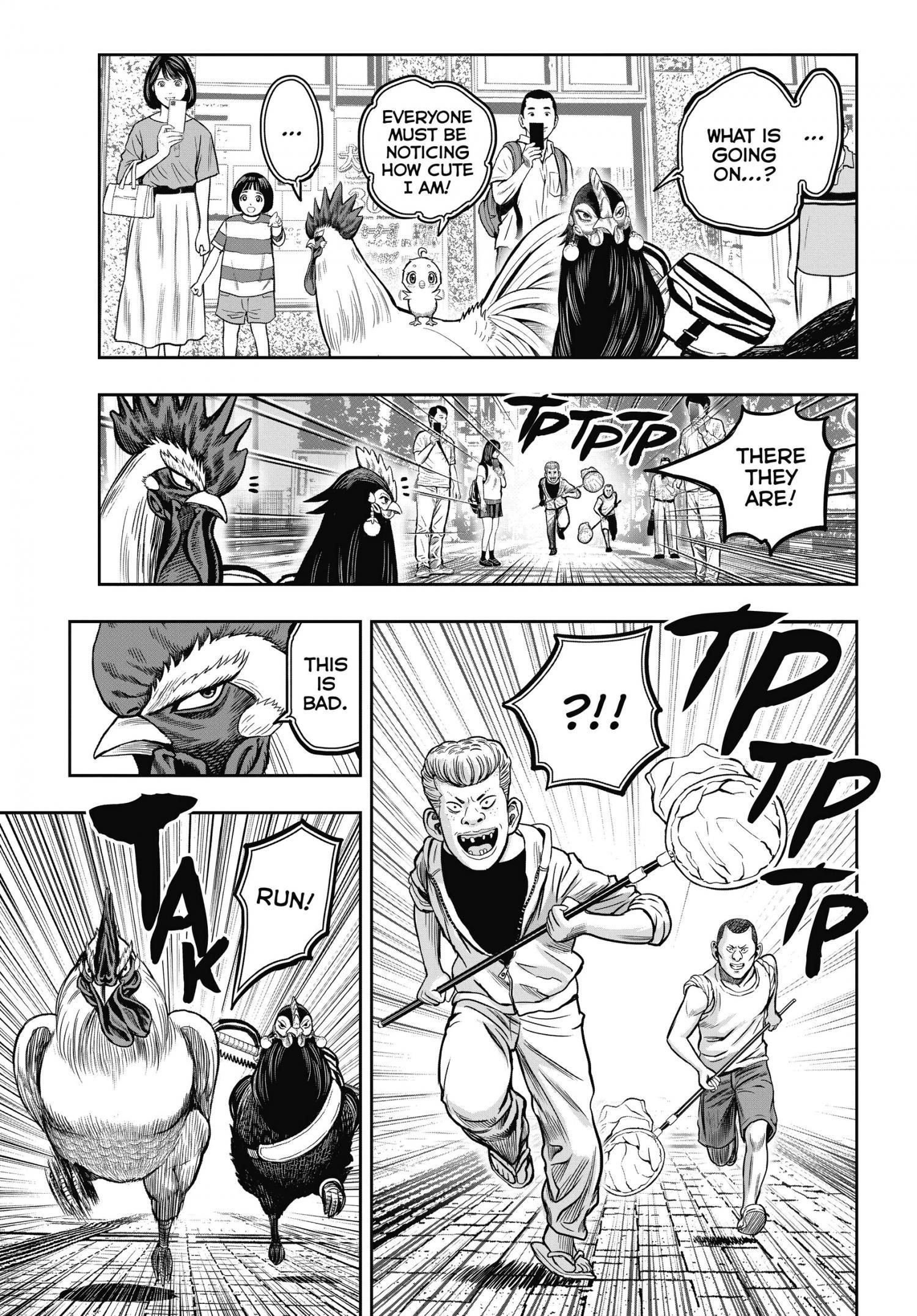 Read Rooster Fighter EN Manga Online