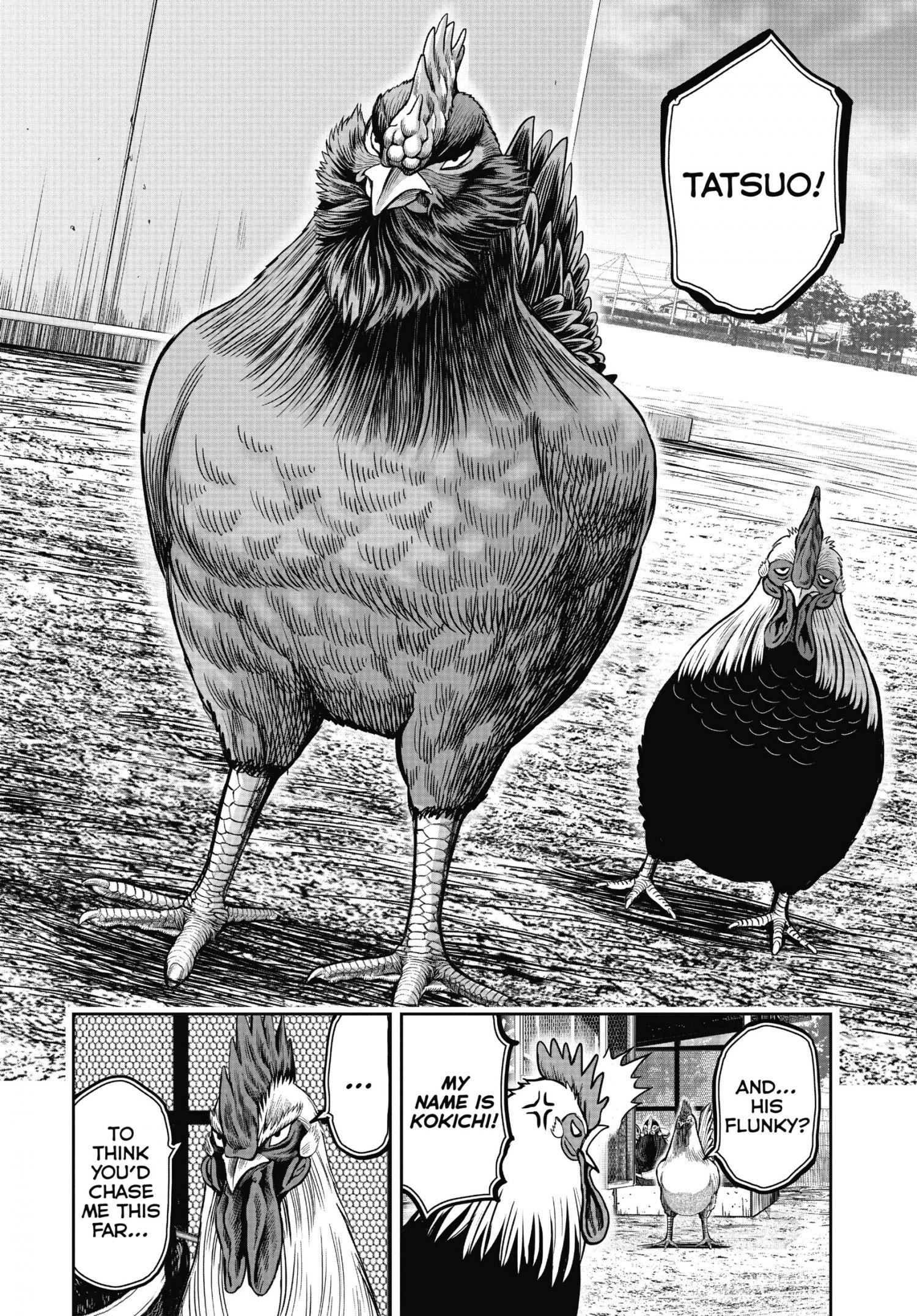 Read Rooster Fighter EN Manga Online